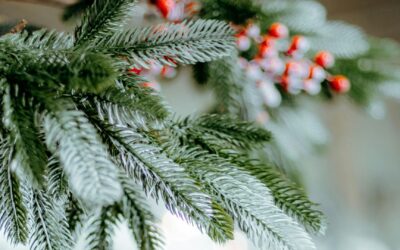 Joyeuses fêtes de fin d&rsquo;année !